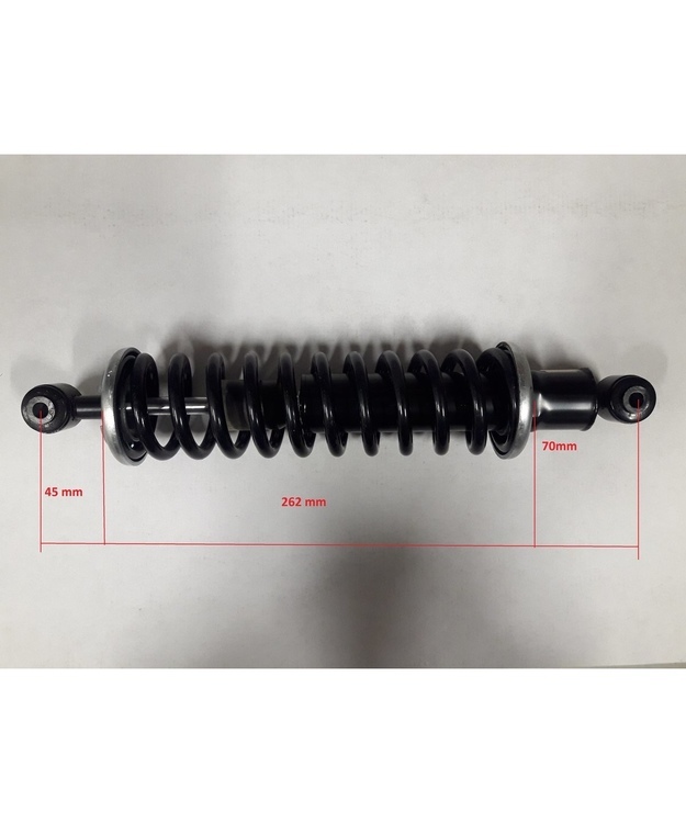 Takaiskunvaimennin Ligier Nova V1