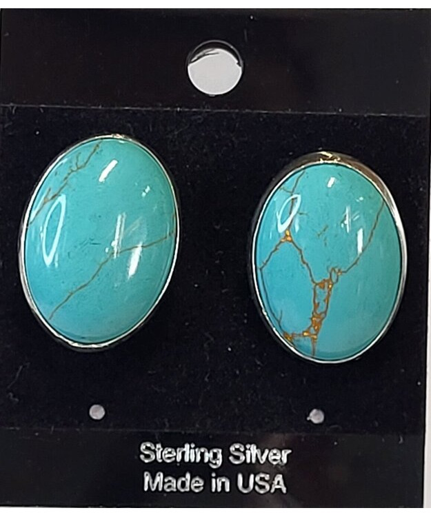 Thunder Creek Turquoise -korvakorut