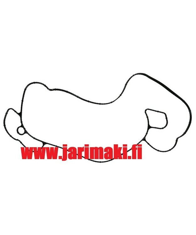 Vesipumpun tiiviste Ford 6.7TD 2011-2016