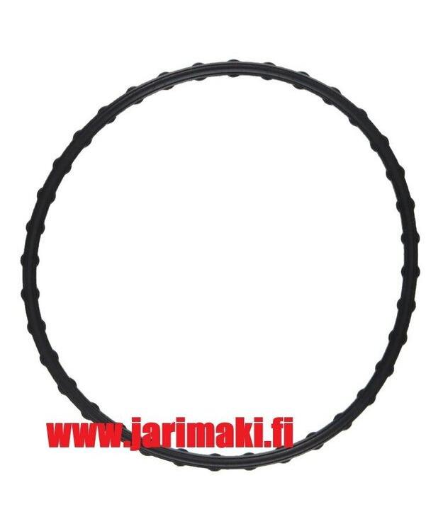 Vesipumpun tiiviste Mopar 3.5/4.0 1999-2010